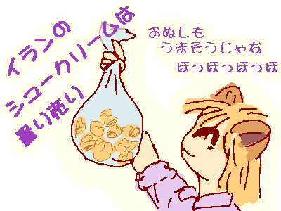 ����󥷥塼�γ�