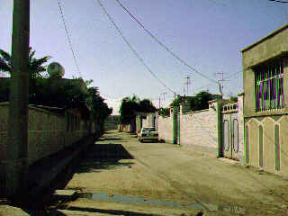 �֡�������ν���