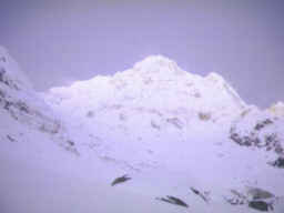 ����ʥץ�ʥ١���������