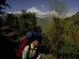 ����ѥ˽�ȯ