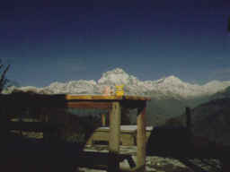 �ԥåԤȤԤ����夦