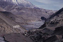 �����٥ˤ򸫲�����