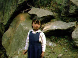 ����ǲ�ä��Ҷ�