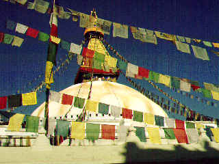 �ܥ��ʡ���