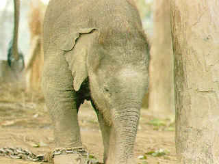 ���ȥ�󡡾�