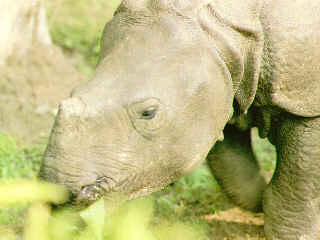 ���ȥ�󡡥���