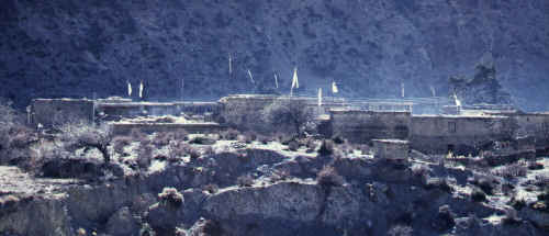 ̾���Τ�ʤ�¼