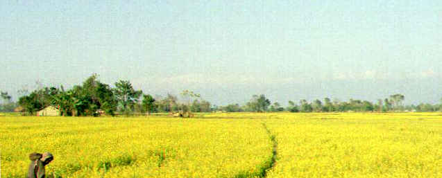 ���ȥ�󡡺ڤβ֤�����