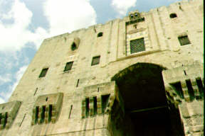 ����åݾ����